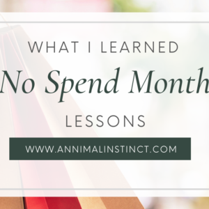 No Spend Month lessons